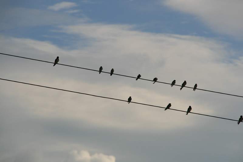 India & Nepal 2011 - 0590